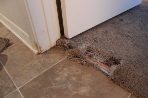 Carpet Repair Services In Huntsville Al