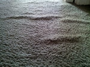 carpet stretching, wrinkled carpet, carpet stretching services