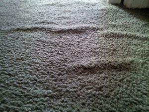 Carpet Repair Services Carpet Re Stretching Service Allen s